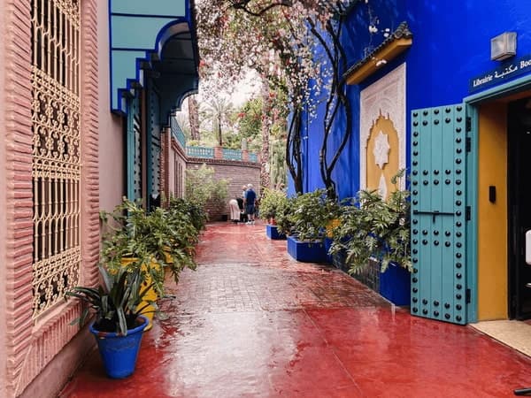 Majorelle Garden cobalt-blue walls and cacti in Marrakech