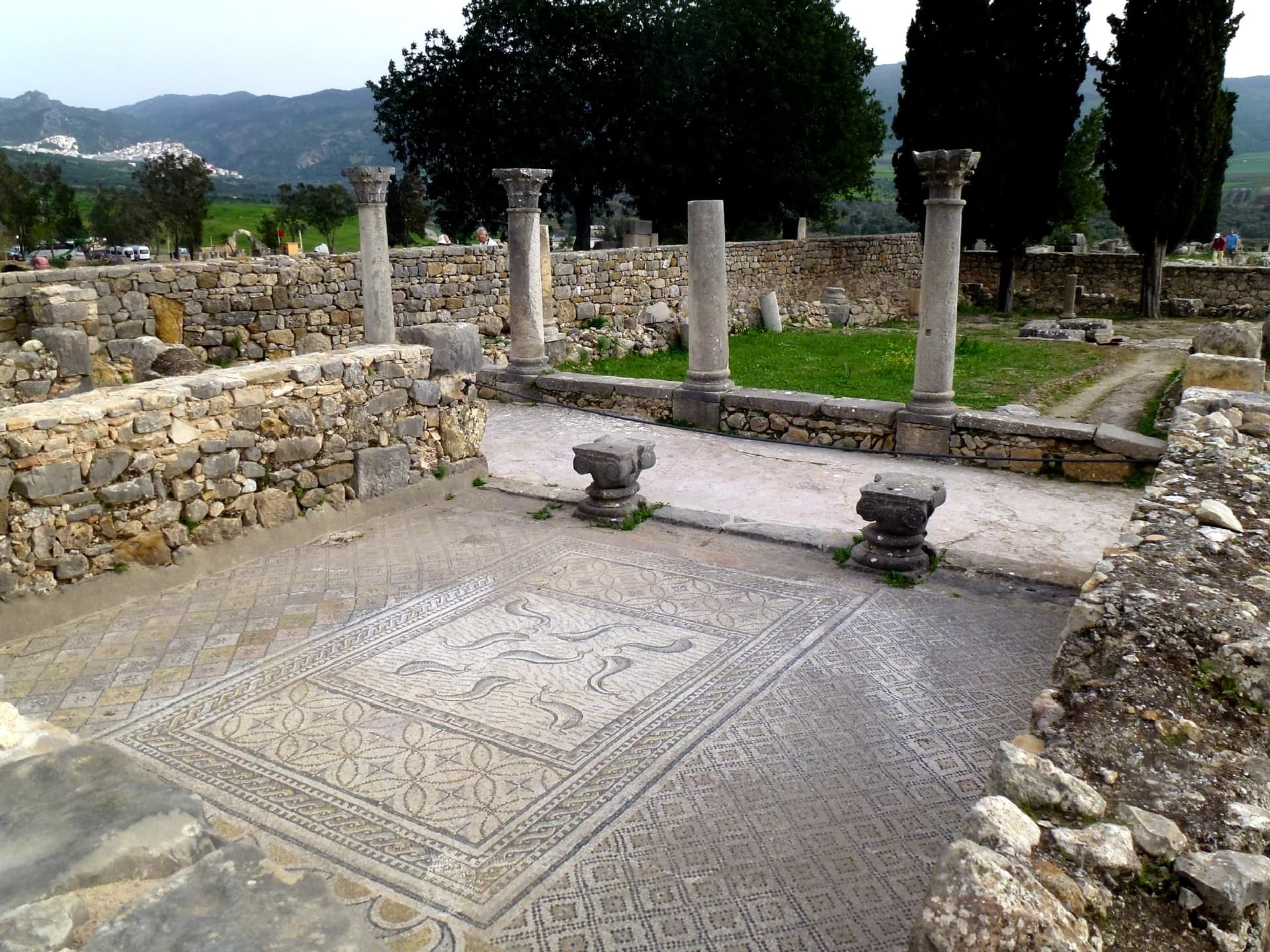 View of House of Orpheus in Volubilis, Morocco