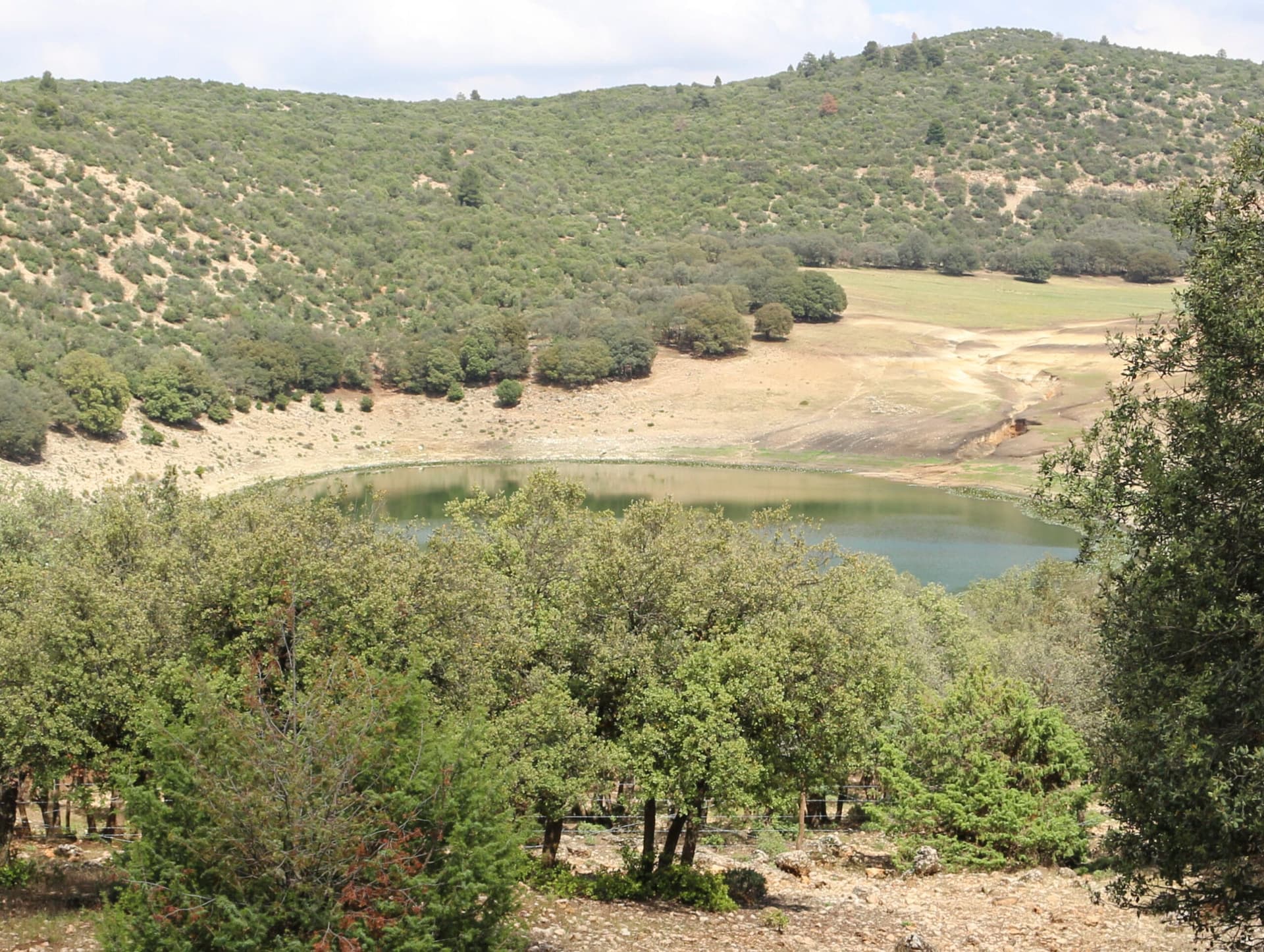 Ifrane