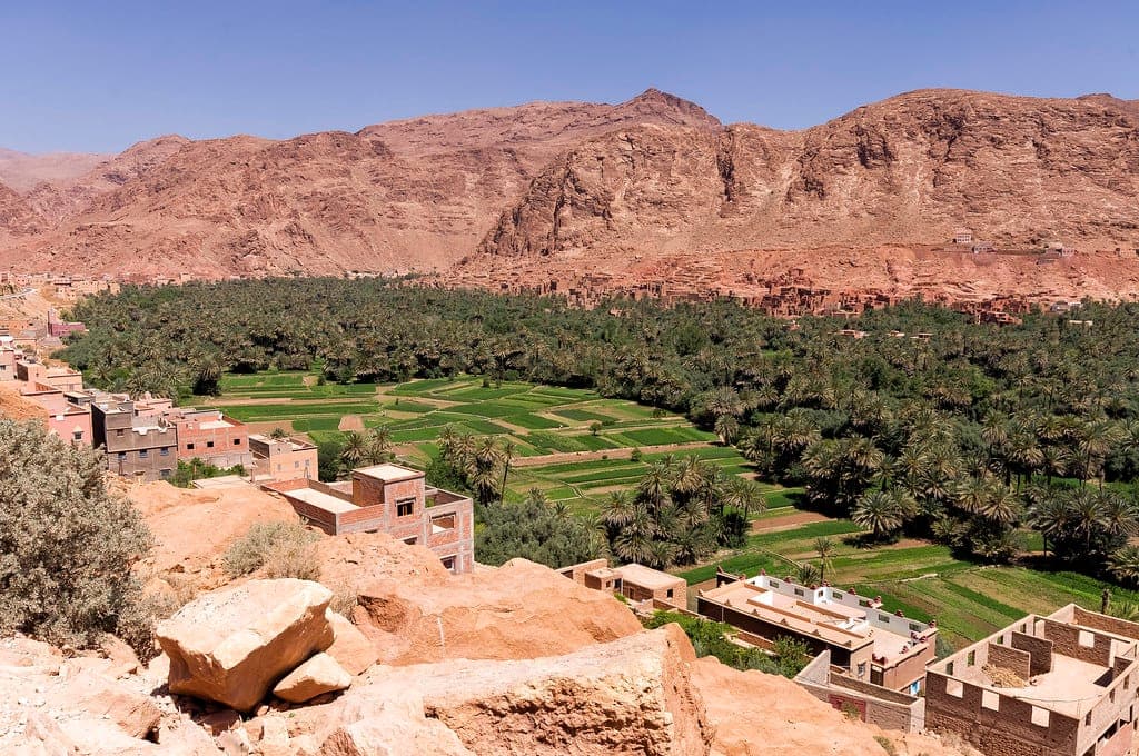Dades Valley palm oasis beneath the High Atlas cliffs