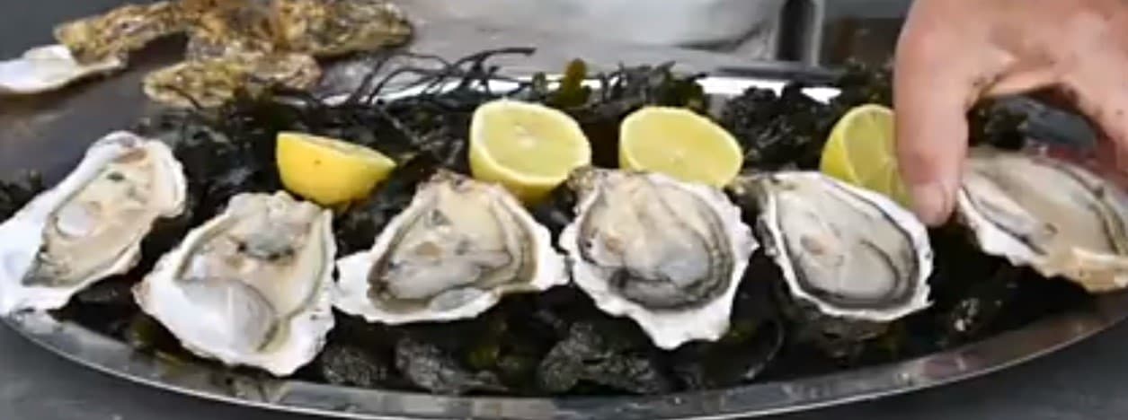 Fresh oysters from the Oualidia oyster farms, Morocco