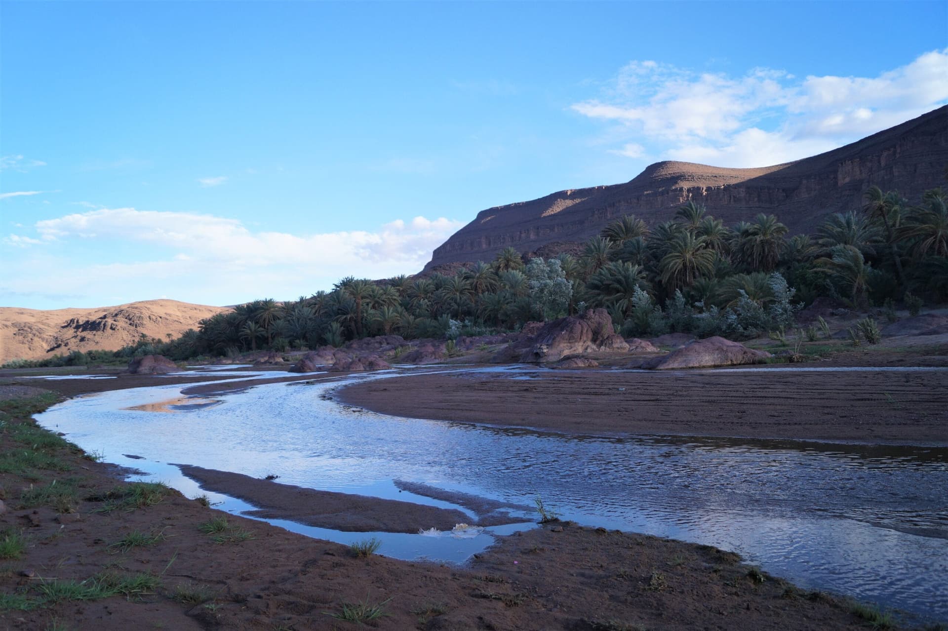 Palm groves of the Fint Oasis near Ouarzazate