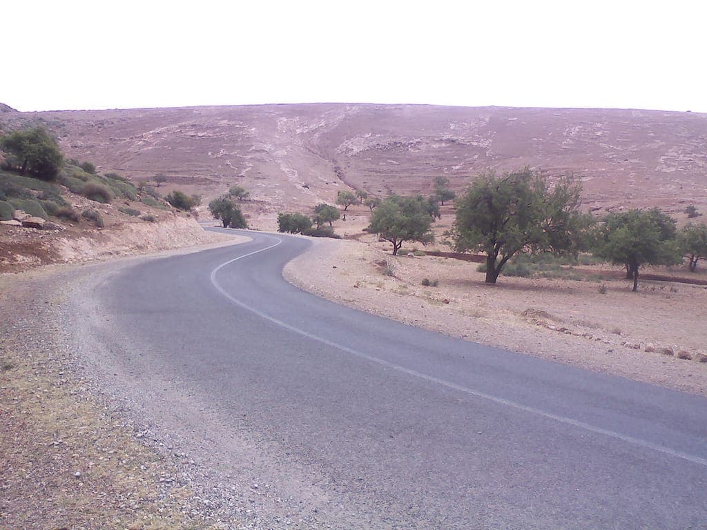 Path through olive groves on the descent trail to Ouzoud Falls, Morocco