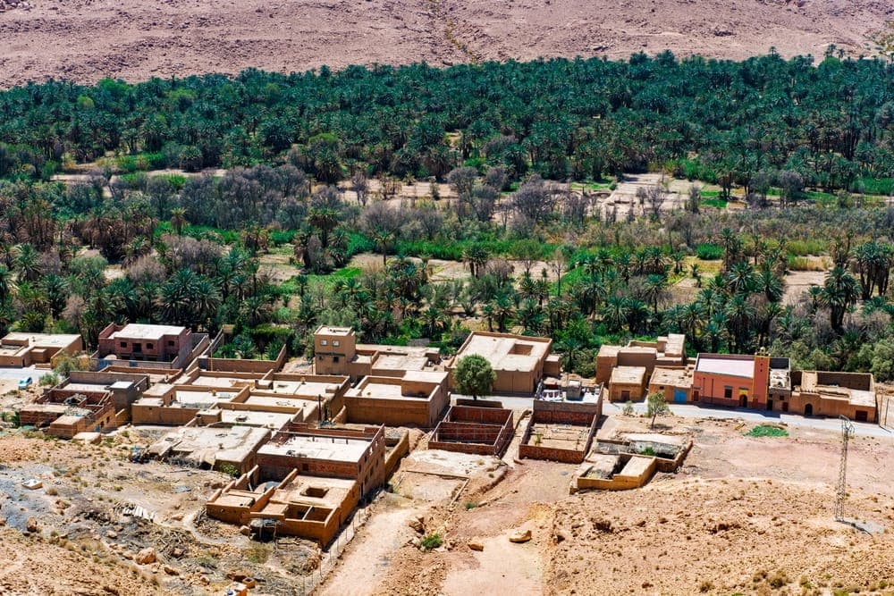 Aerial view of Ziz Valley palm oasis patterns near Erfoud, southern Morocco