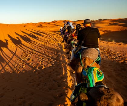 Camel trek in Morocco