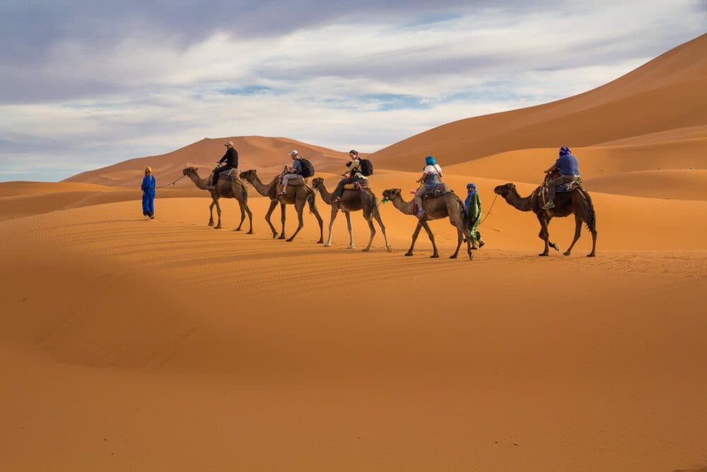 A camel trek crossing the Erg Chebbi dune ridge near Merzouga