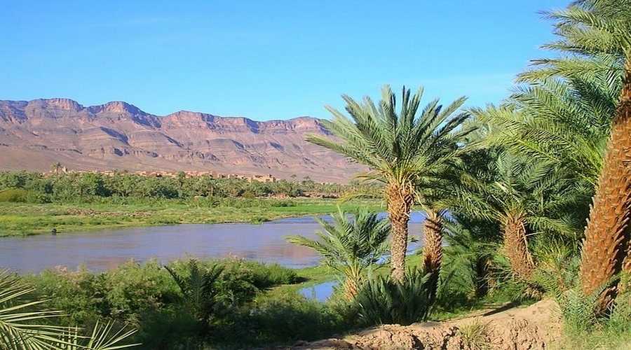 green oasis in daraa valley