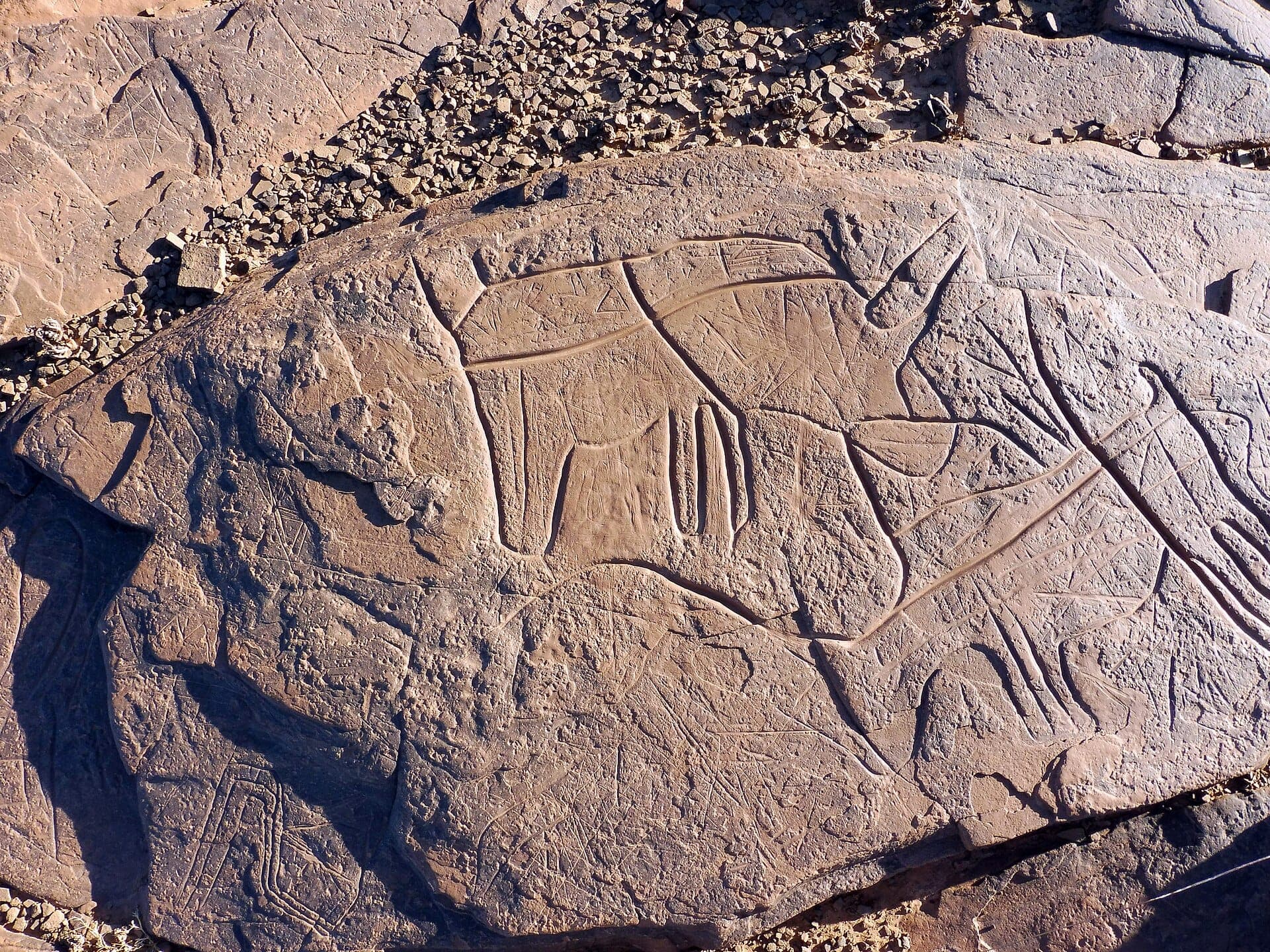 View of Aït Ouazik Petroglyphs in Draa Valley, Morocco