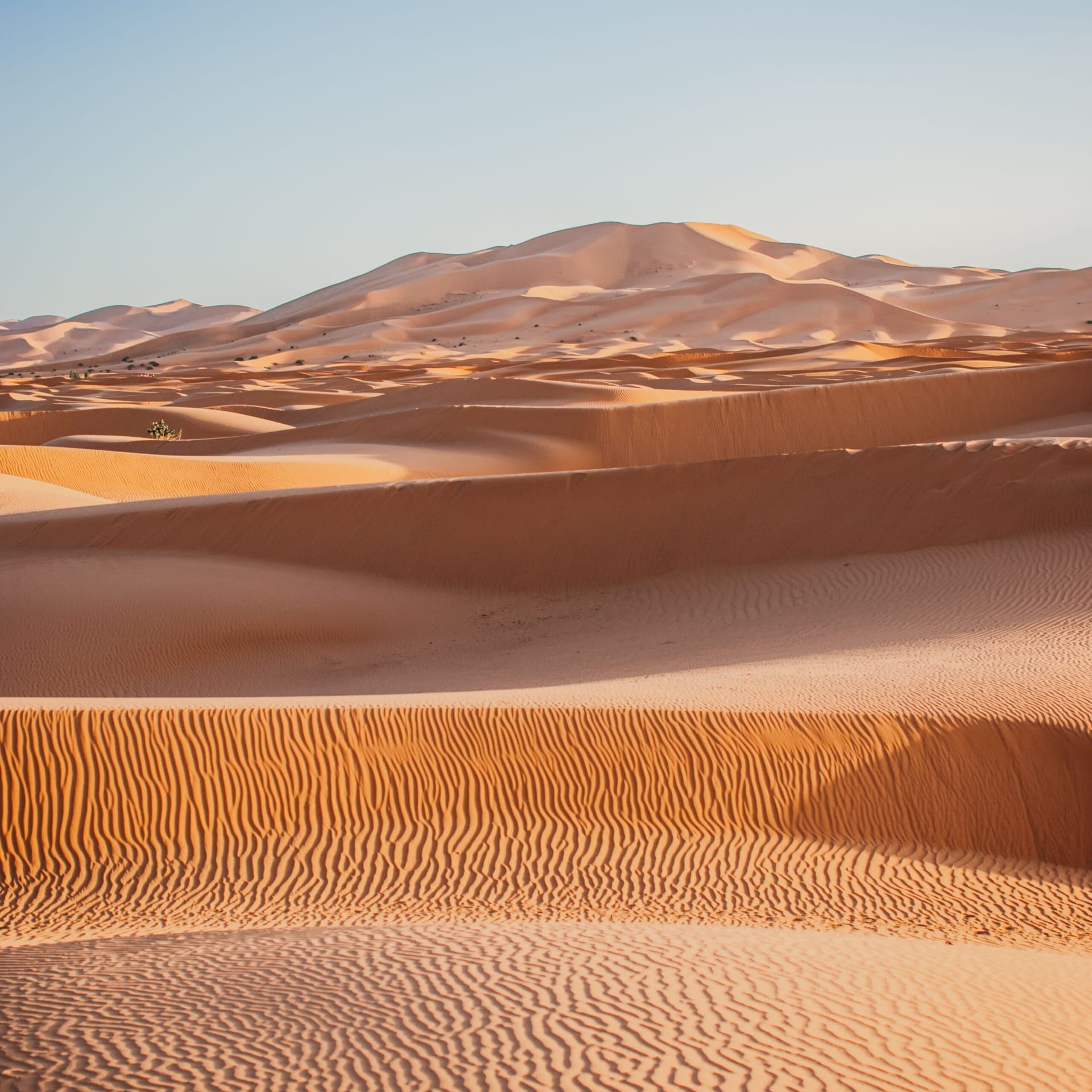 4x4 vehicle kicking up dust on an arid off-road desert track near Marrakech