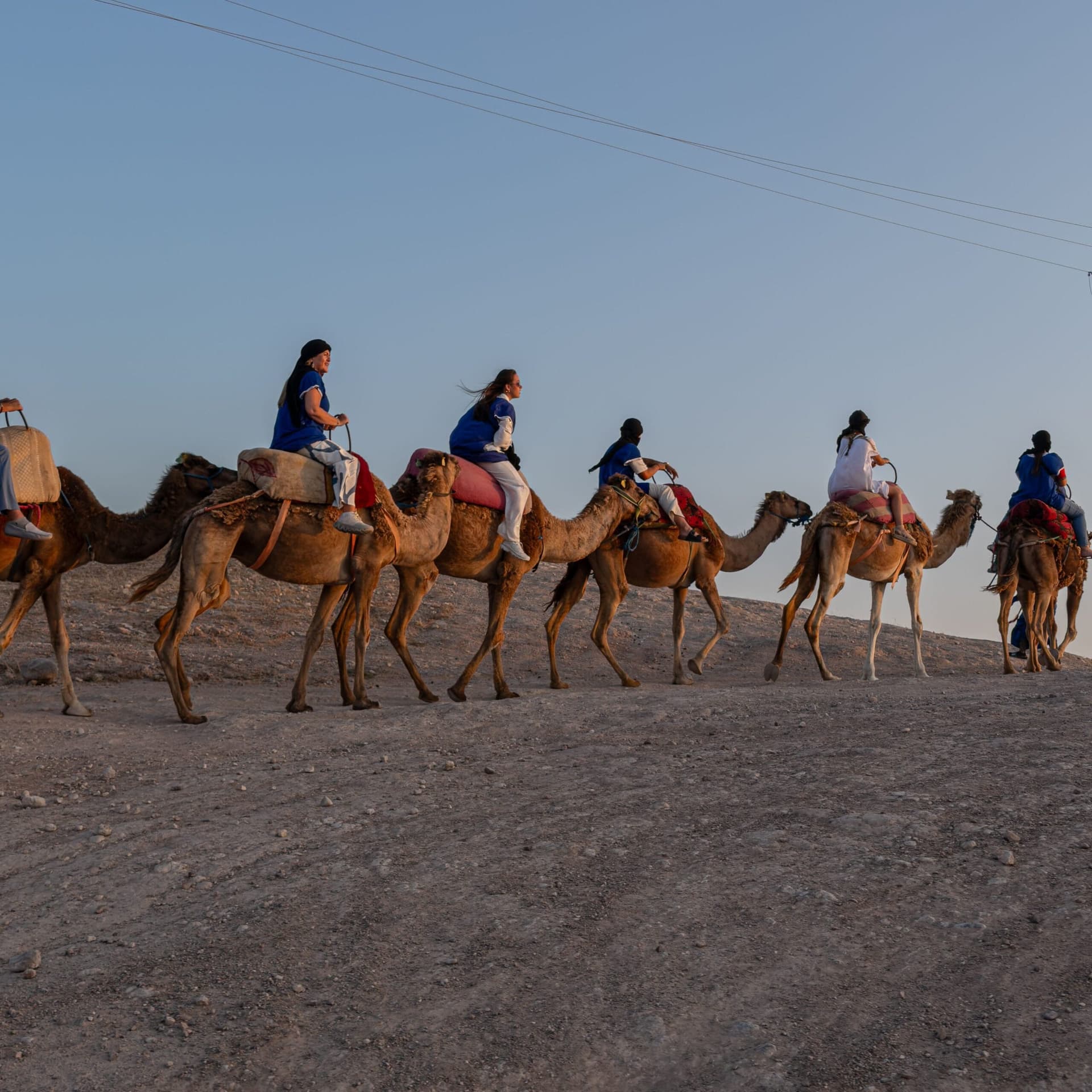 Tourists on a camel caravan crossing the rocky Agafay Desert during golden hour