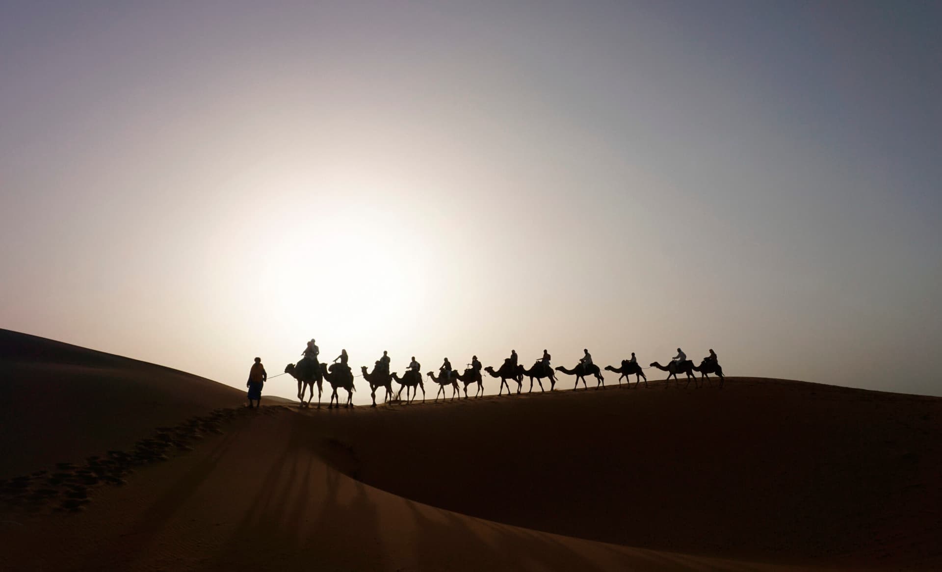 Camel caravan silhouette on the dunes of Erg Chebbi at sunrise, Merzouga Morocco