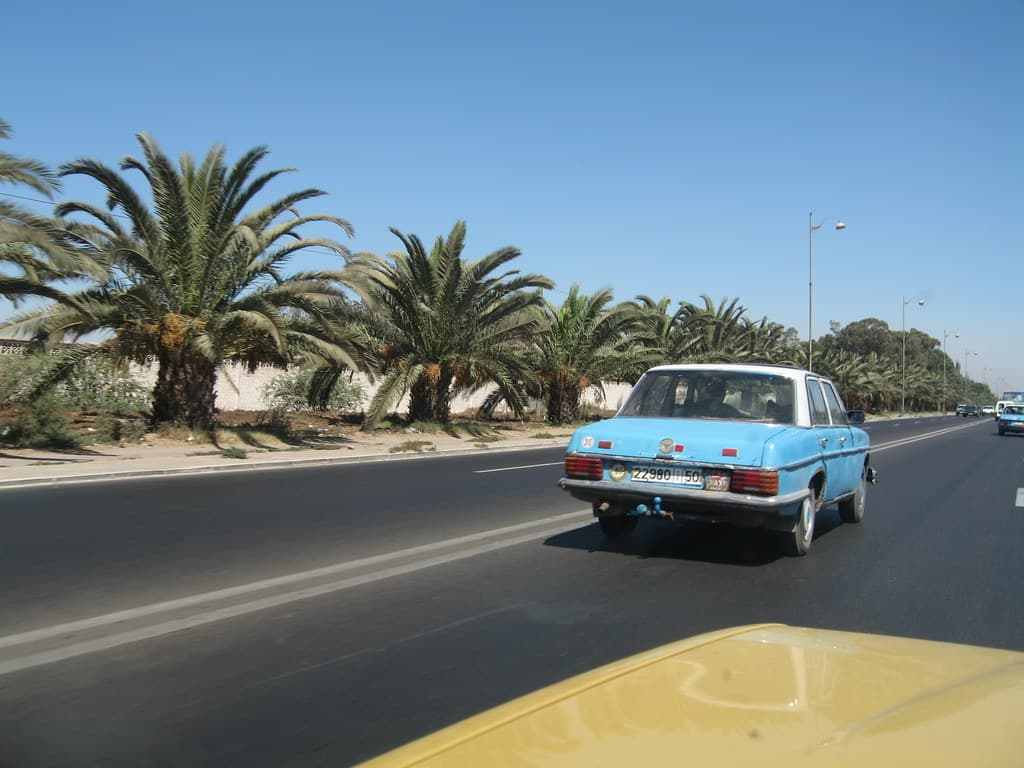 Palm-lined avenue near Agadir's Cite Suisse district