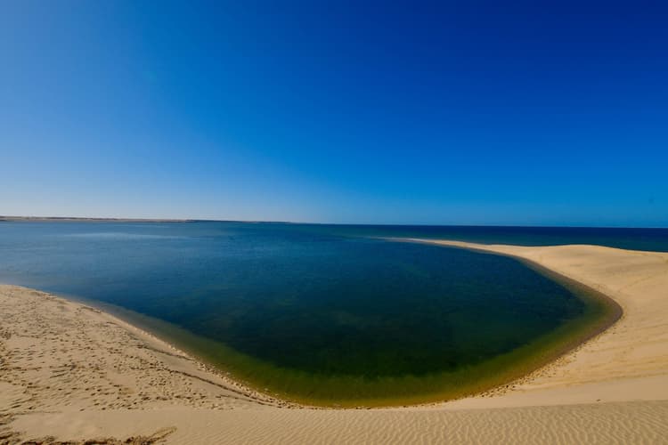 White Dune