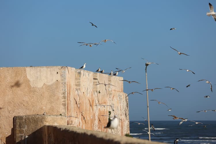 Ramparts of El Jadida