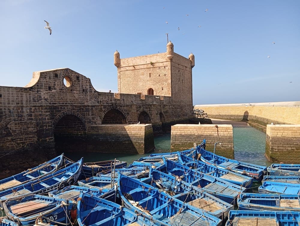 Essaouira's Skala harbor packed with blue fishing boats beneath the sea rampart