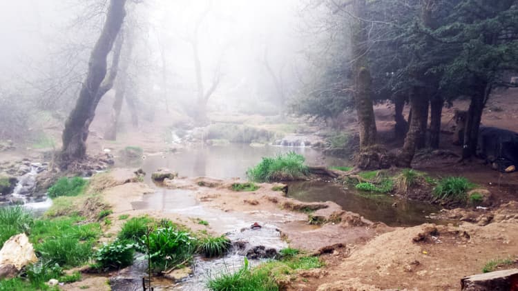 Ain Vitel River and Springs