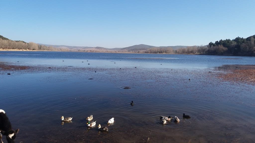 Dayet Aoua lake in the Middle Atlas near Ifrane, Morocco