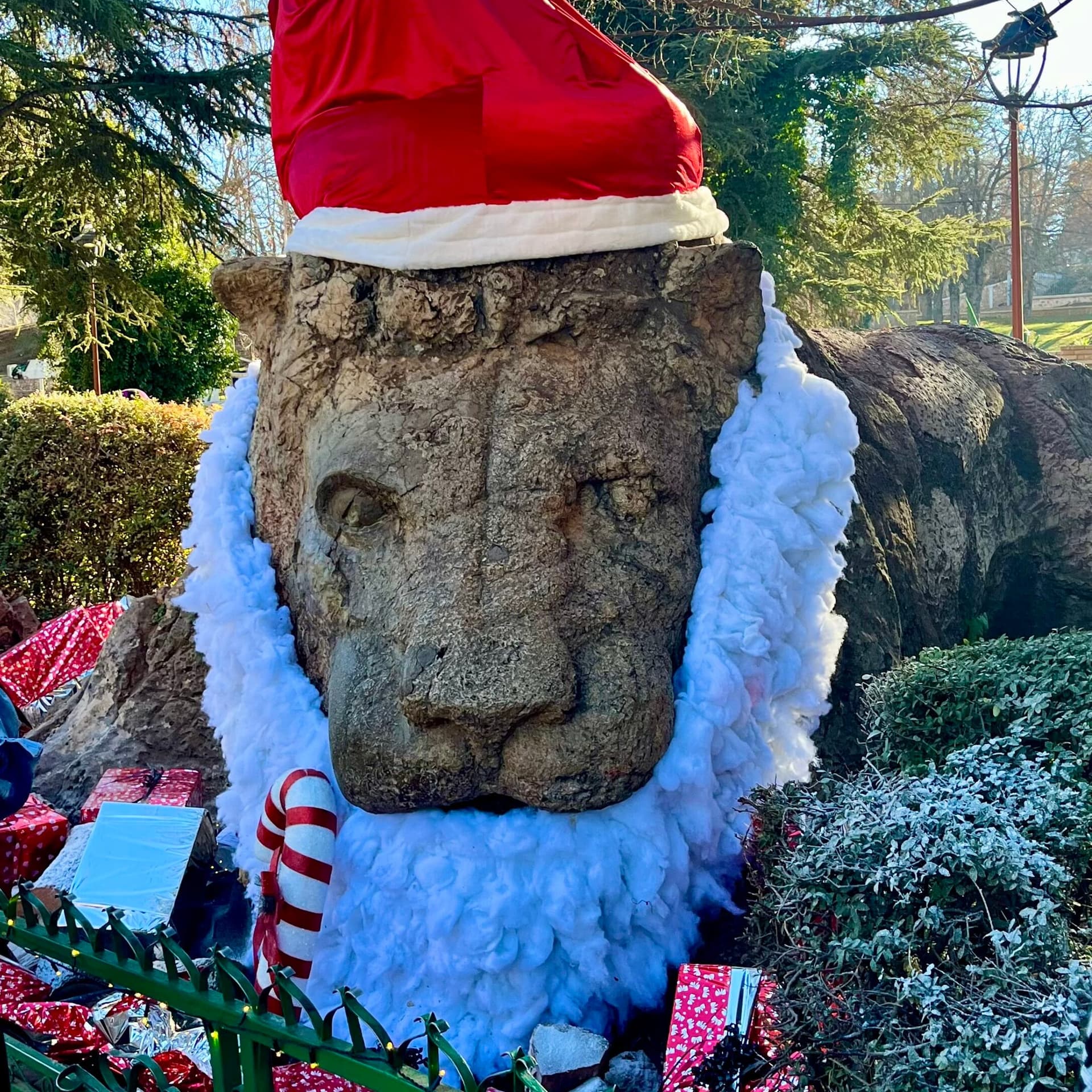 The carved Stone Lion landmark sculpture in Ifrane, Morocco