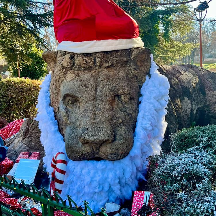 Stone Lion of Ifrane