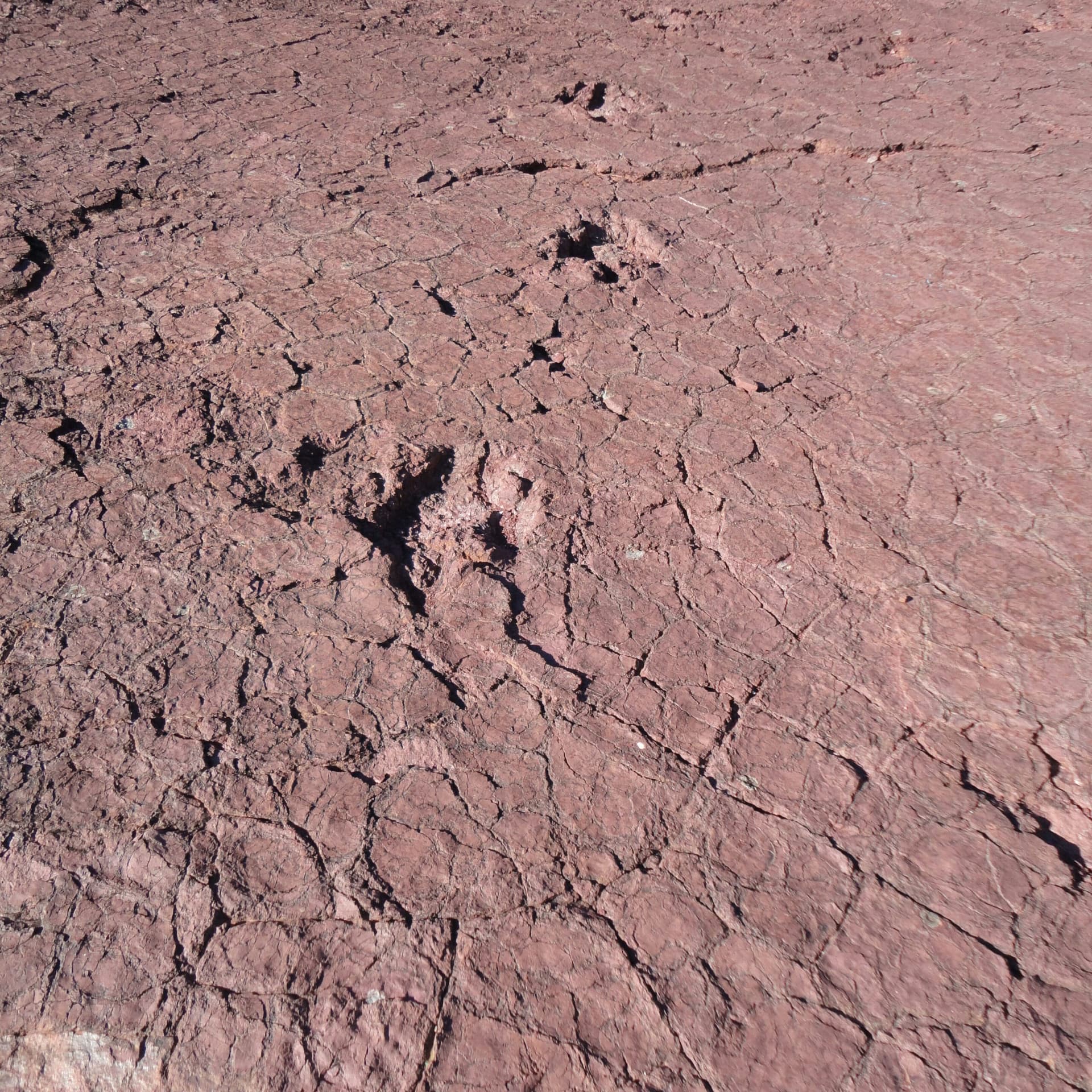 View of Iouaridene Dinosaur Footprints in Azilal, Morocco