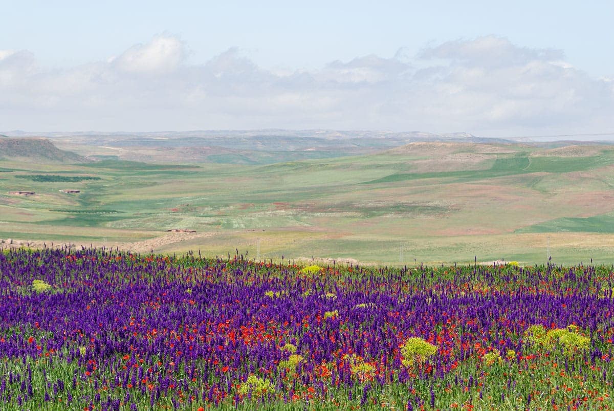 Plateau landscape on the outskirts of Midelt town, Morocco