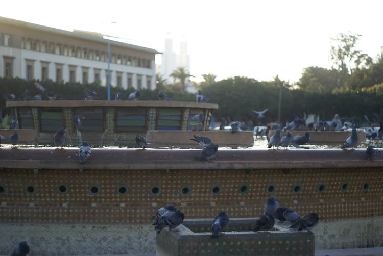 Mohammed V Square