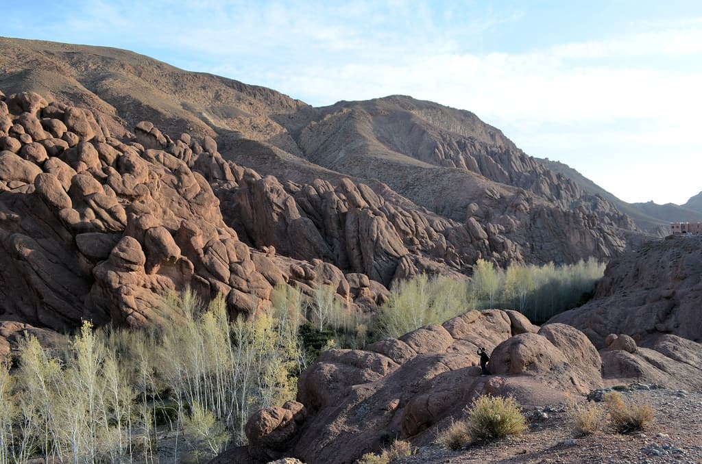 Unique finger-shaped rock formations known as Monkey Fingers in the Dades Gorges