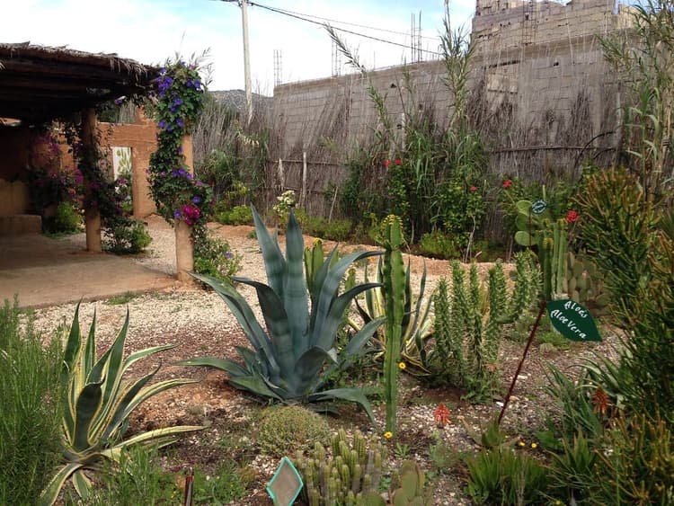 Olhao Garden