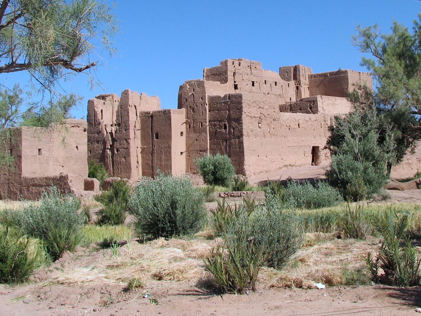 Traditional earthen kasbah in the palm groves of Skoura Oasis, Morocco