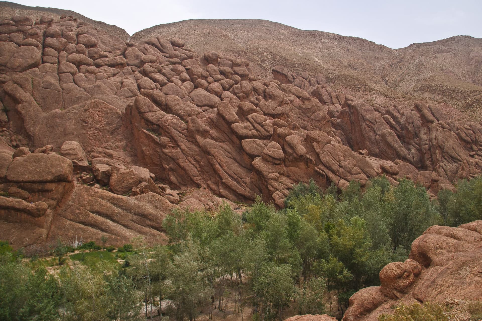 Red rock canyon landscape near Tamellalt in the Dades Valley, Morocco