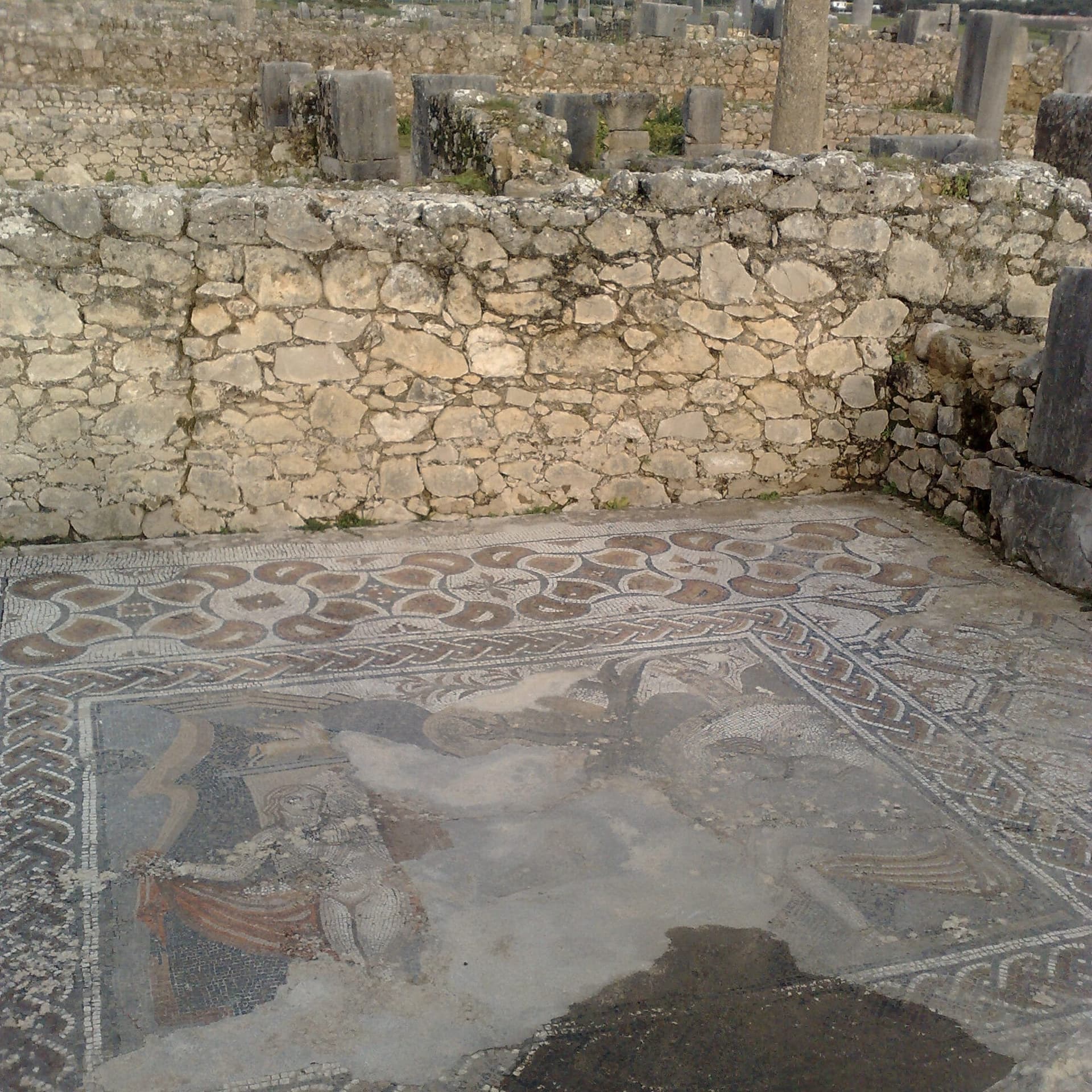 Remains of a wealthy Roman house in the residential quarter of Volubilis, Morocco