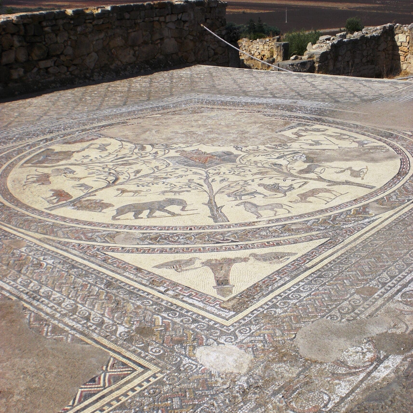 Roman floor mosaic preserved in one of the mosaic houses of Volubilis, Morocco
