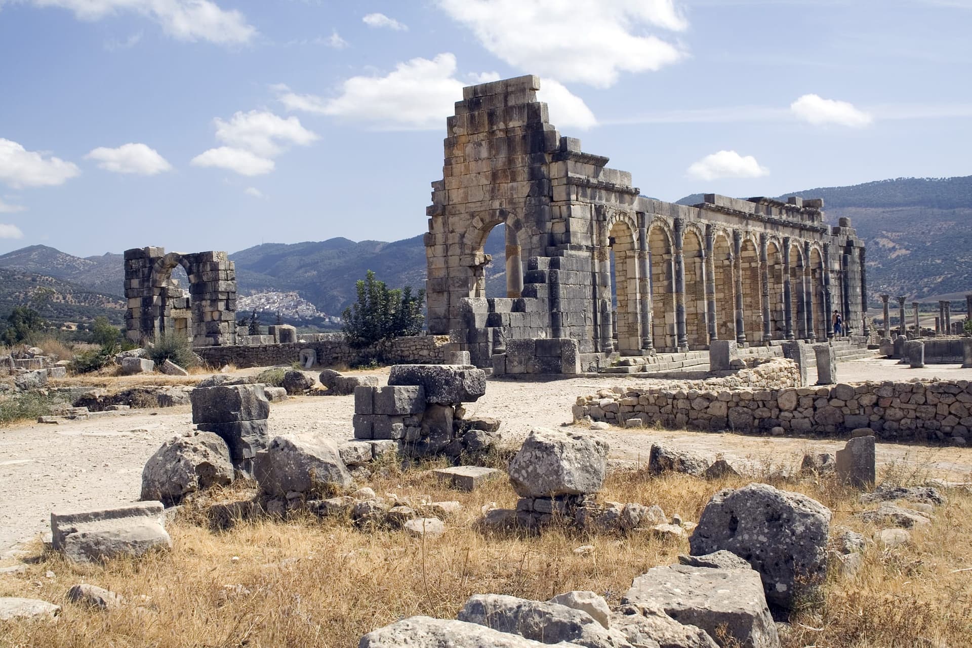 Basilica columns among the ancient ruins of Volubilis near Fes