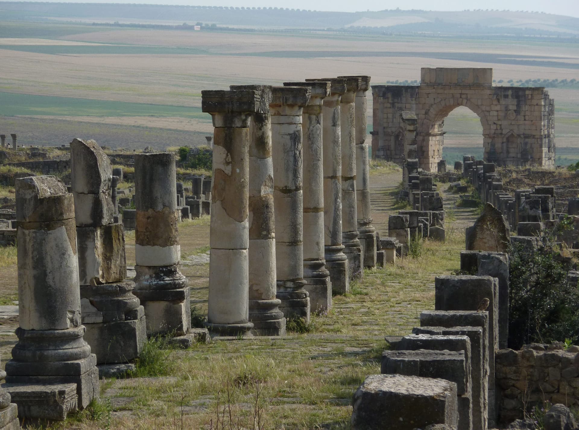 Roman paved street near the old city wall entrance at Volubilis, Morocco
