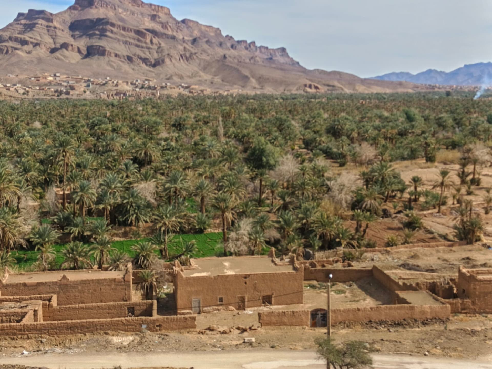 View of Zagora Palm Grove and Tinfou Dunes in Draa Valley, Morocco