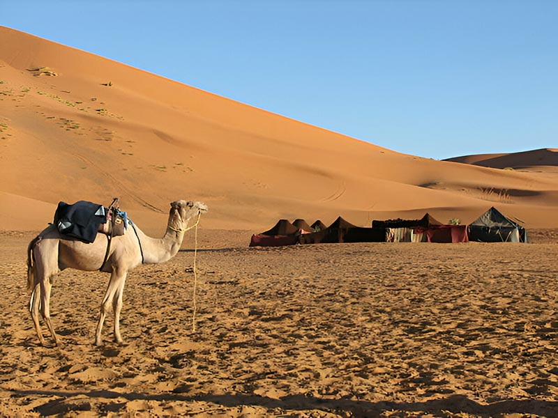 morocco desert tour