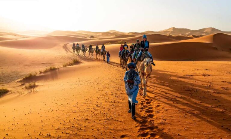 Camel Caravan at Sunset in the Moroccan Sahara