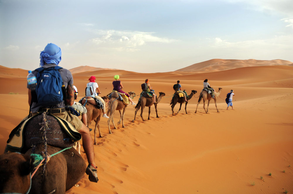 Camel Ride Sahara Desert