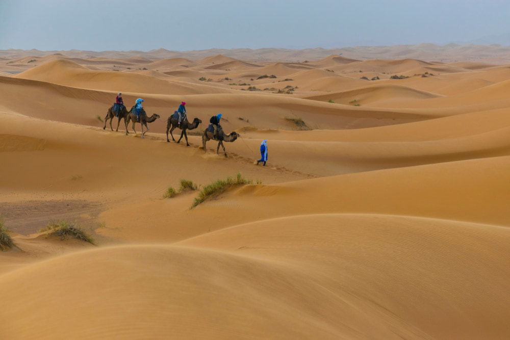  Camel Rides in Morocco