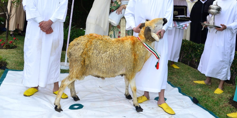 Eid Al Adha In Morocco