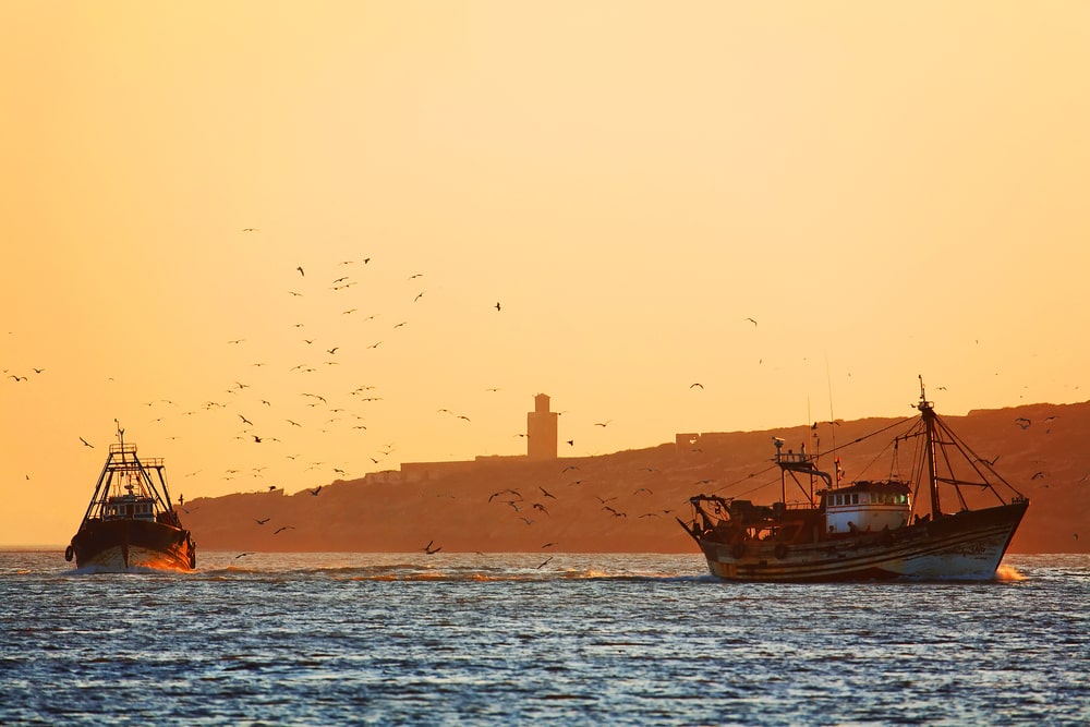 Fishing in Morocco