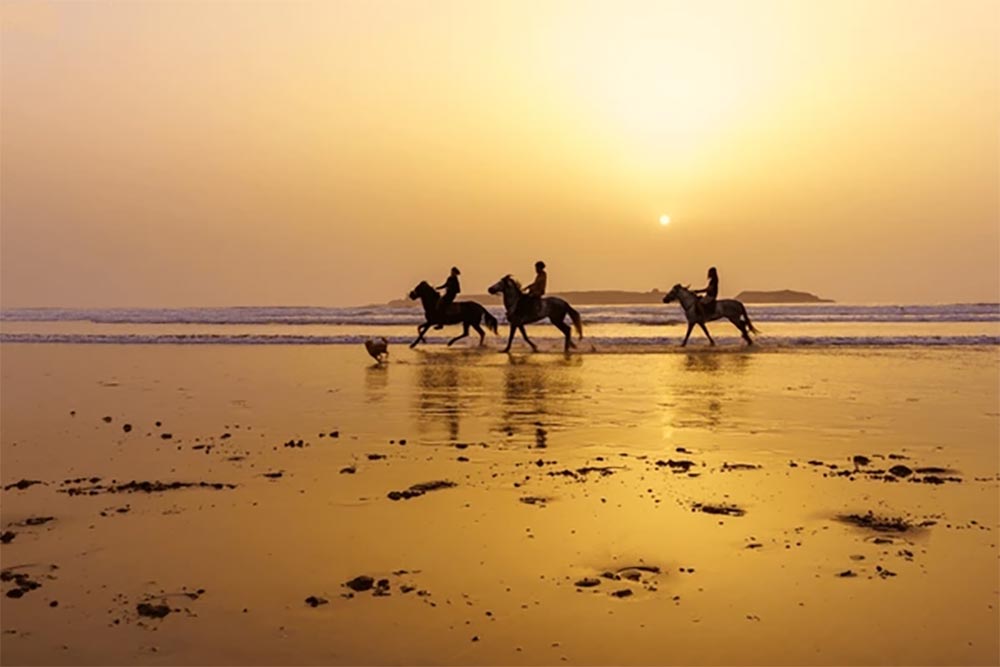 Mogador Beach Of Essaouira