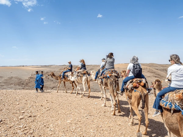 Camel Ride Across Agafay Desert