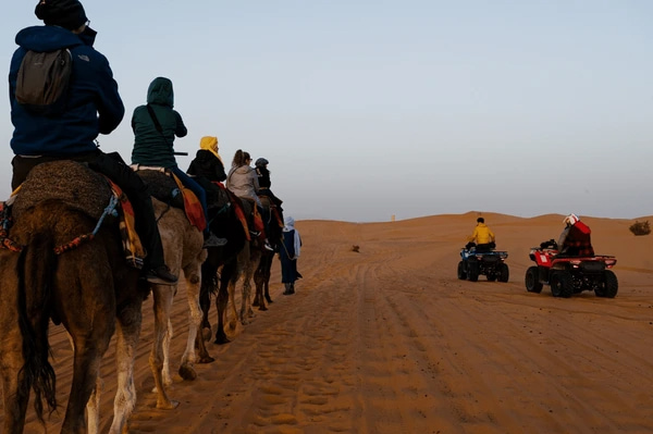 Caravan Of Camels Treks