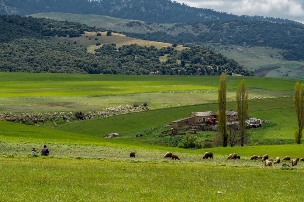 Ifran National Park