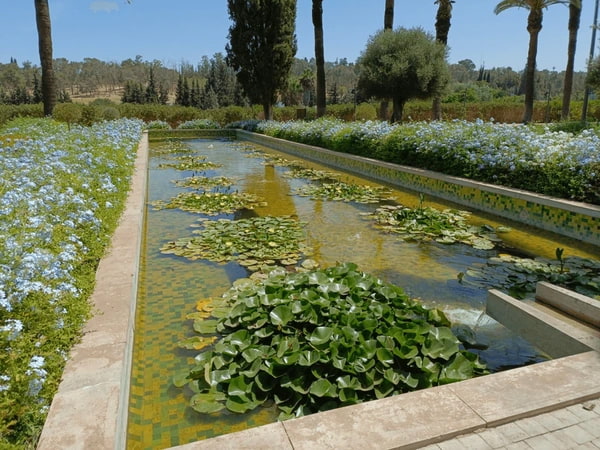 Ismaili Capital Of Meknes