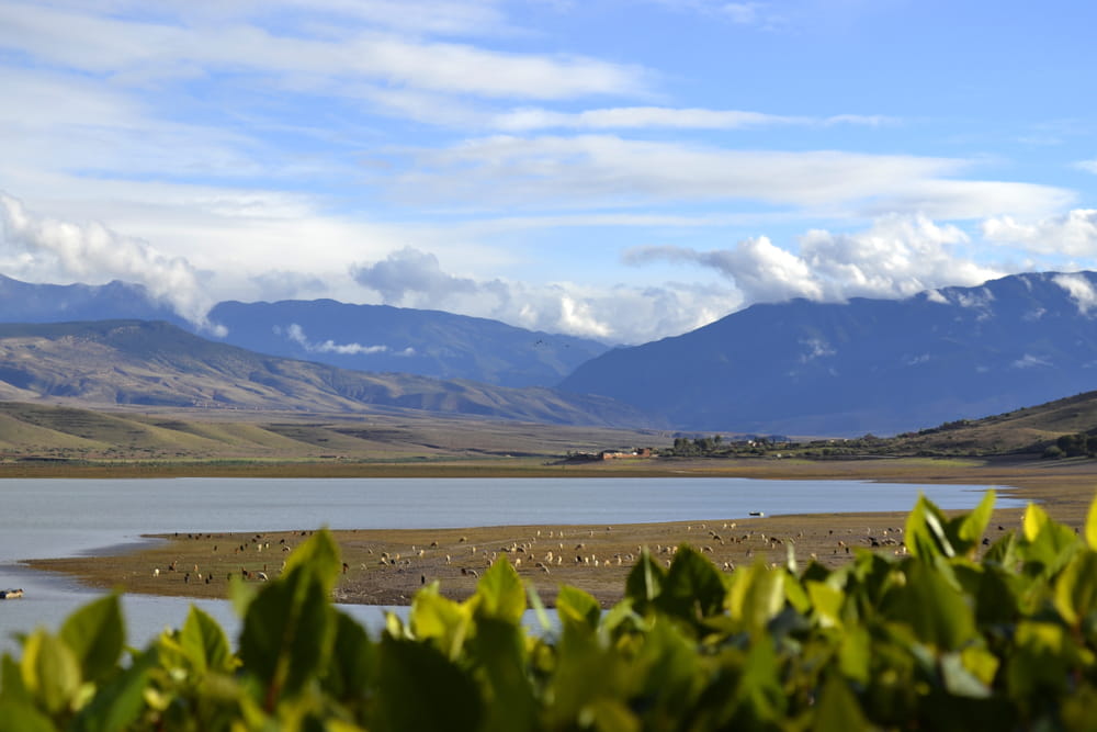 Landscape Of Lalla Takerkoust Lake