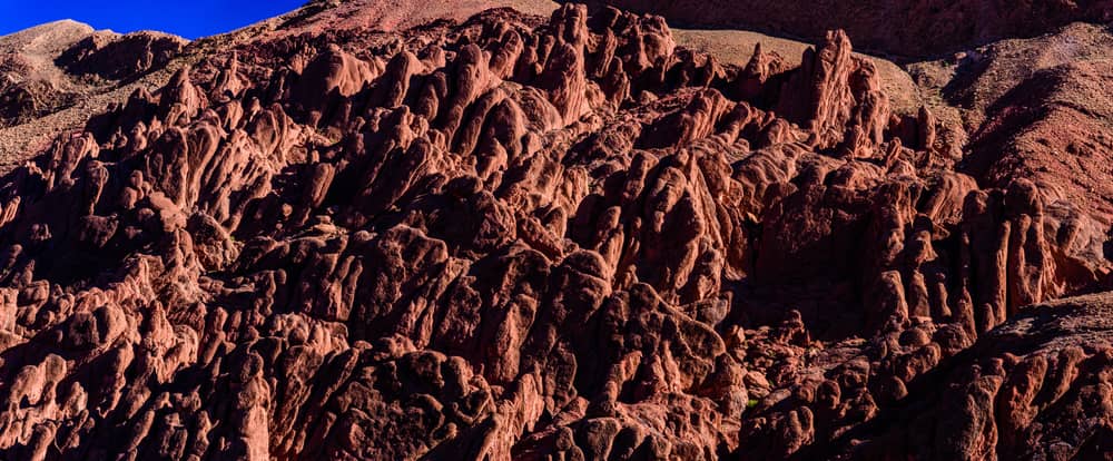 Monkey’s Fingers In Dades Valley