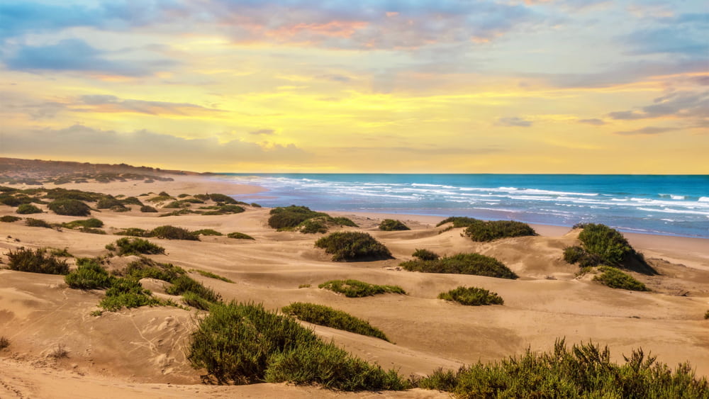 Sunset Landscape In Agadir