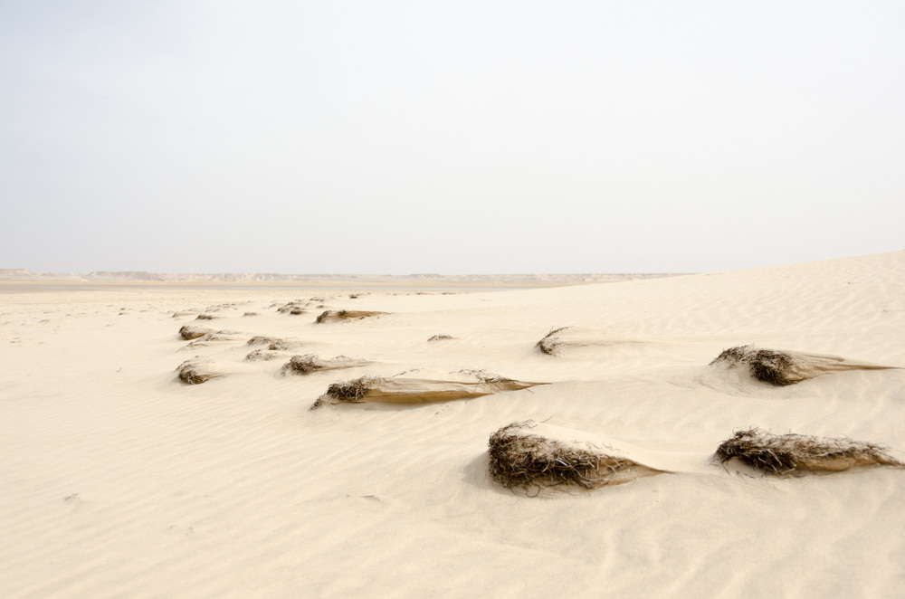 White Dune In Dakhla